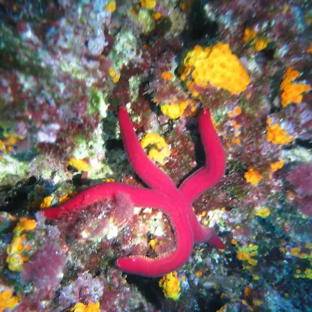 Casa Costanza Feriehus Syracuse